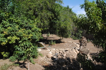 Enlarge photo 67