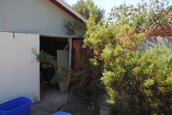 Enlarge photo 71