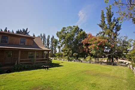 Enlarge photo 5