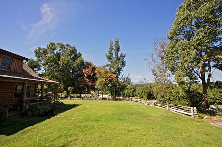 Enlarge photo 4
