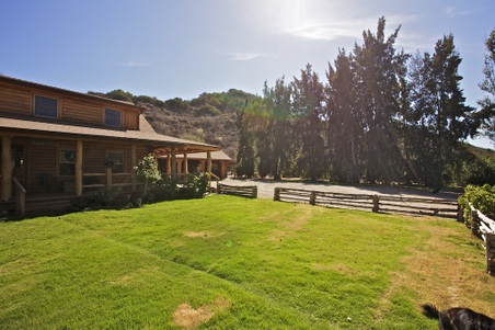Enlarge photo 40