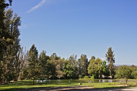 Enlarge photo 53