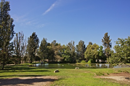 Enlarge photo 54