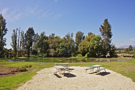 Enlarge photo 55