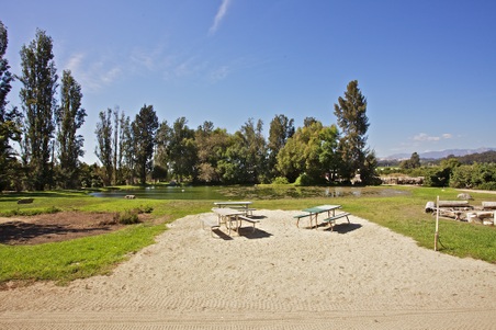 Enlarge photo 56