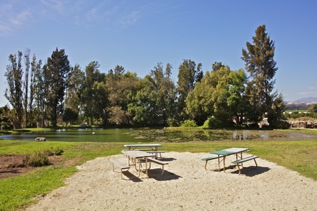 Enlarge photo 57