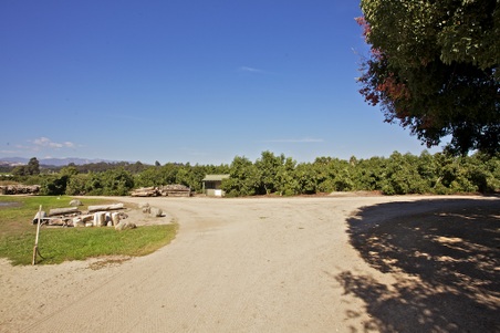 Enlarge photo 58