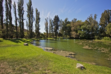 Enlarge photo 59