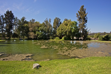 Enlarge photo 60