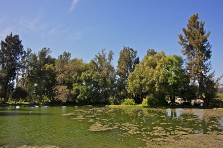 Enlarge photo 61