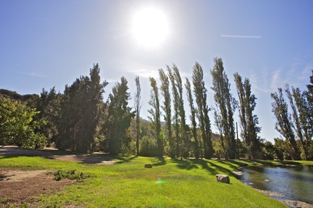Enlarge photo 62