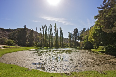 Enlarge photo 64