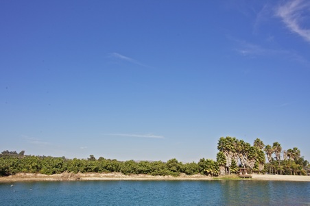 Enlarge photo 66