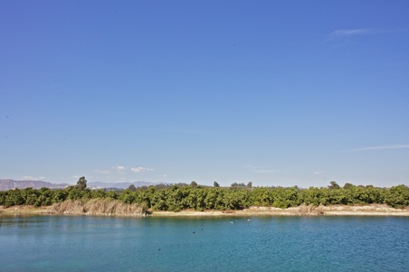Enlarge photo 67