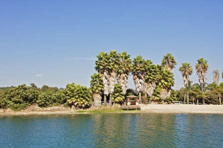 Enlarge photo 70