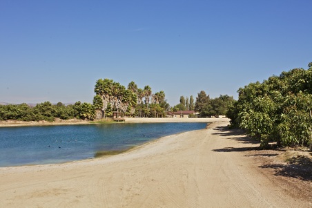 Enlarge photo 71