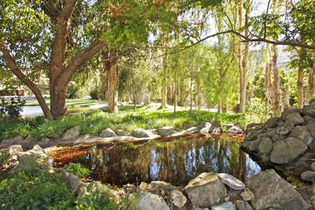 Enlarge photo 116