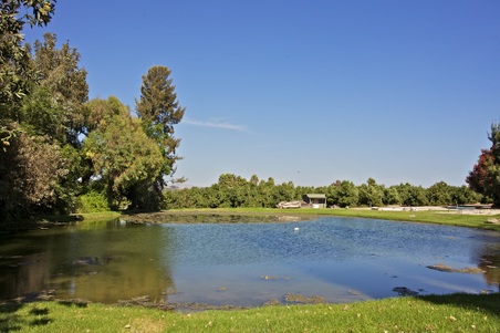 Enlarge photo 118