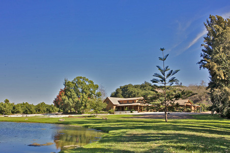 Enlarge photo 119