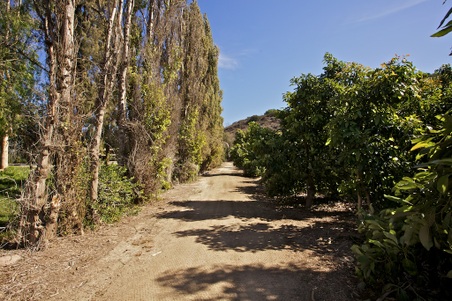 Enlarge photo 120