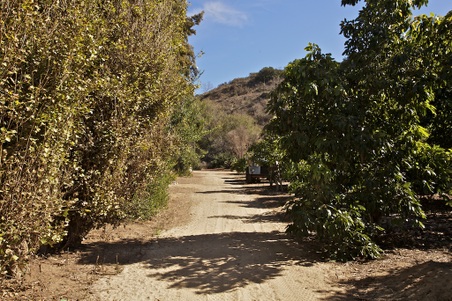 Enlarge photo 121
