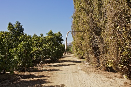 Enlarge photo 122