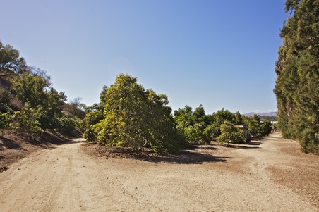 Enlarge photo 123