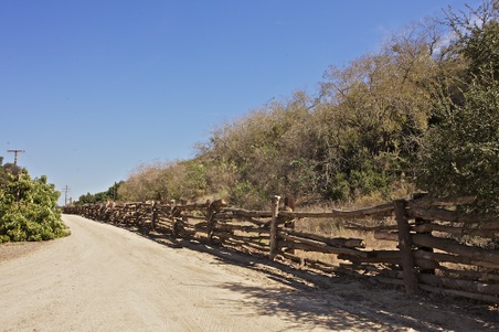 Enlarge photo 124