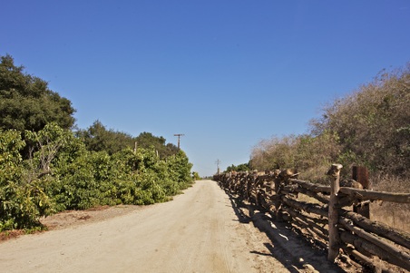 Enlarge photo 125