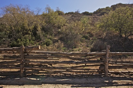 Enlarge photo 126