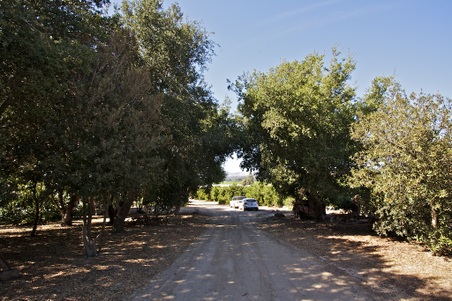 Enlarge photo 128