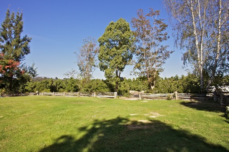Enlarge photo 114