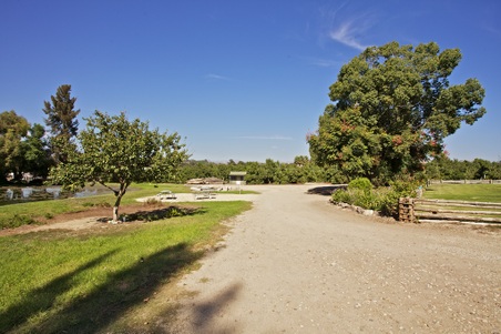 Enlarge photo 113