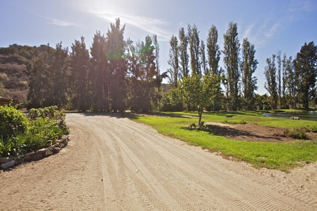 Enlarge photo 115