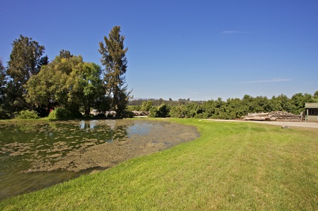 Enlarge photo 117