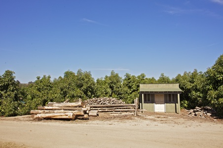 Enlarge photo 74