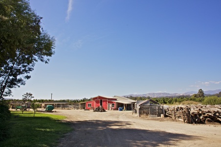 Enlarge photo 89