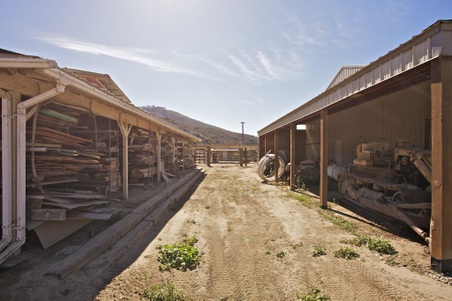 Enlarge photo 93