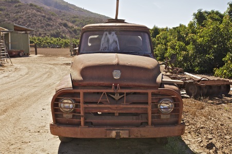 Enlarge photo 96
