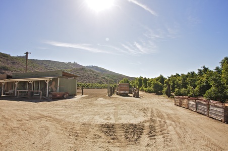 Enlarge photo 97