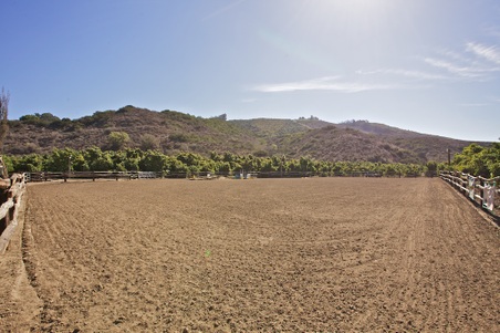 Enlarge photo 103