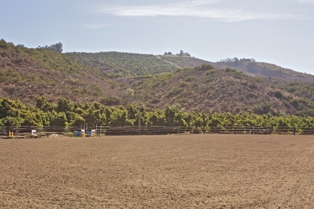 Enlarge photo 104