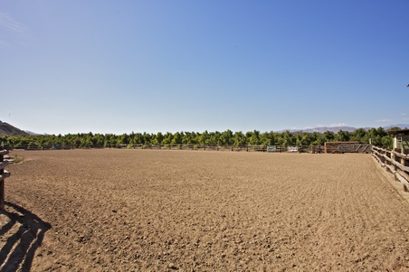 Enlarge photo 105