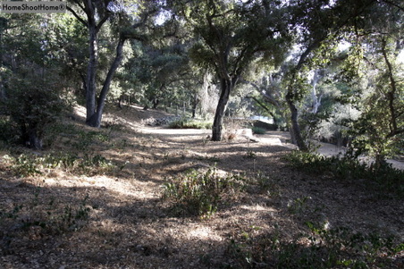 Enlarge photo 44