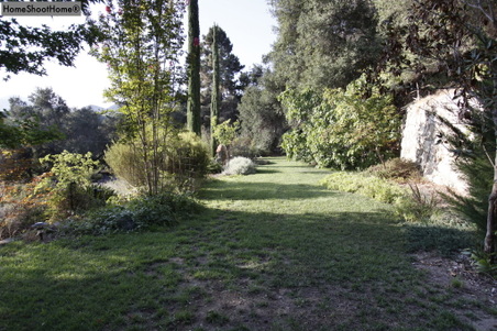 Enlarge photo 45
