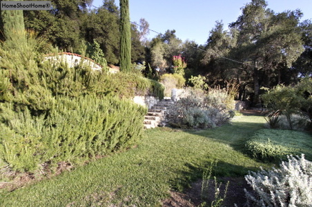 Enlarge photo 49