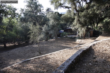 Enlarge photo 55