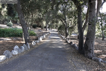 Enlarge photo 64