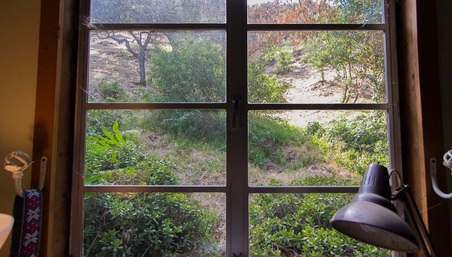 Enlarge photo 67