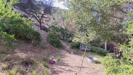 Enlarge photo 73